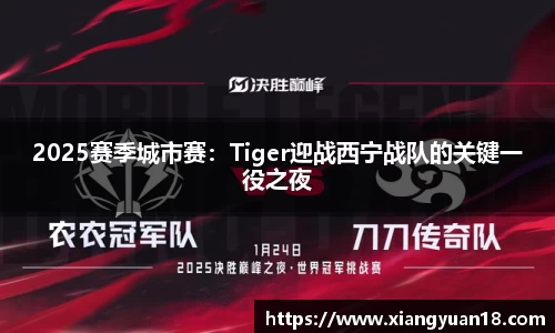 2025赛季城市赛：Tiger迎战西宁战队的关键一役之夜